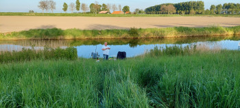 Afbeelding invoegen