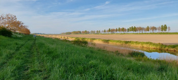 Afbeelding invoegen